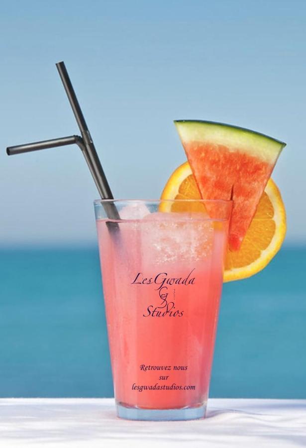 Vue Exclusive Mer Et Volcan, Village Vacances Avec Plage Et Piscine, Les Gwadastudios Sainte-Anne  Exterior photo