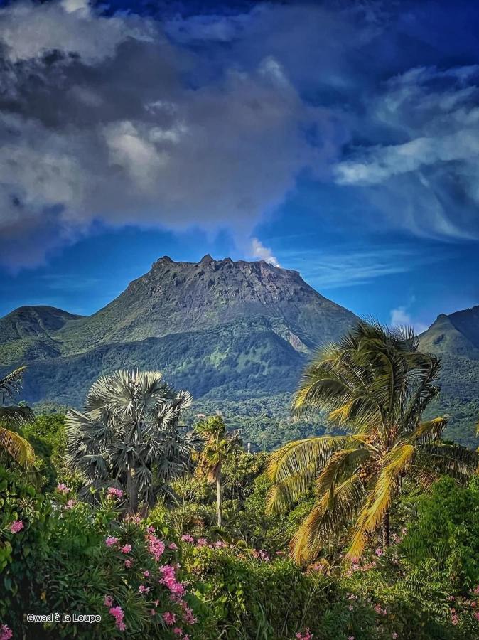 Vue Exclusive Mer Et Volcan, Village Vacances Avec Plage Et Piscine, Les Gwadastudios Sainte-Anne  Exterior photo